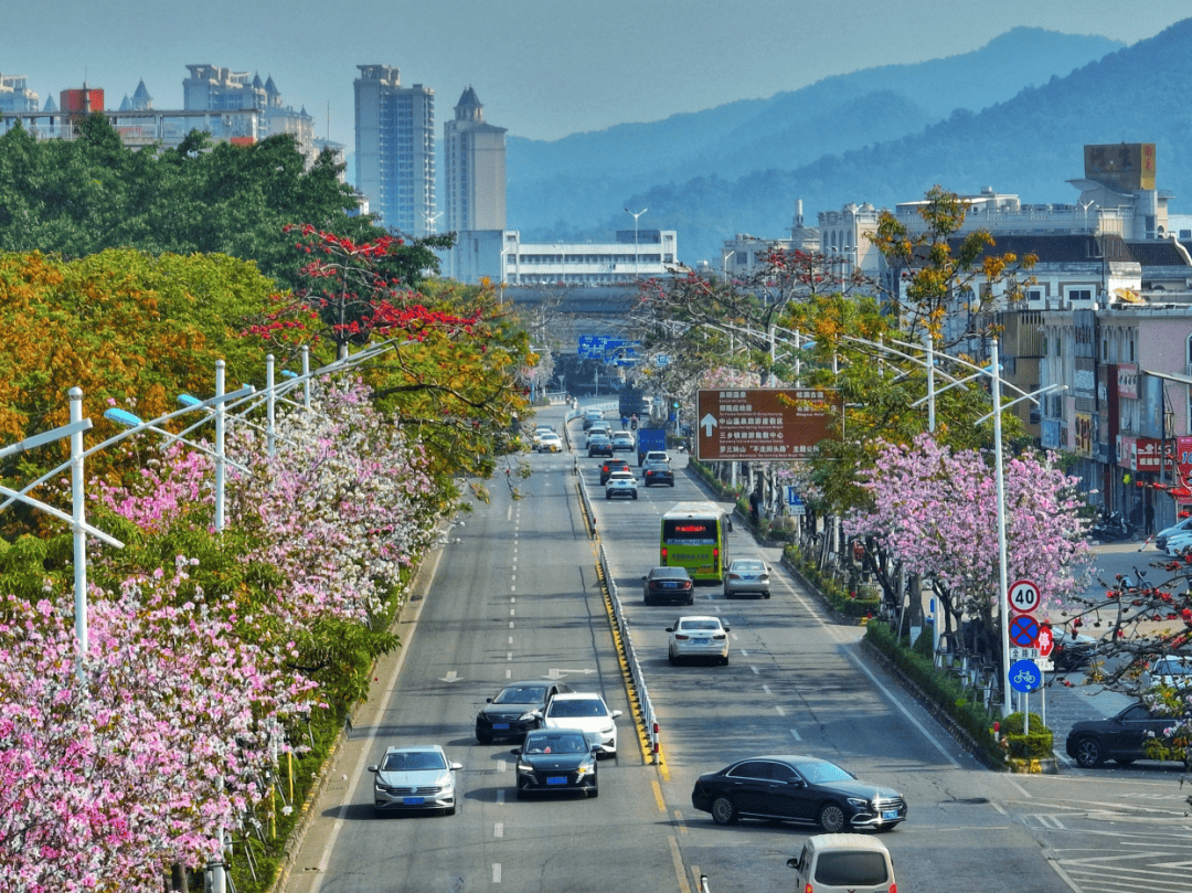 村入选广东省首批乡村振兴示范镇中山市三乡镇示范村创建名单的通知》