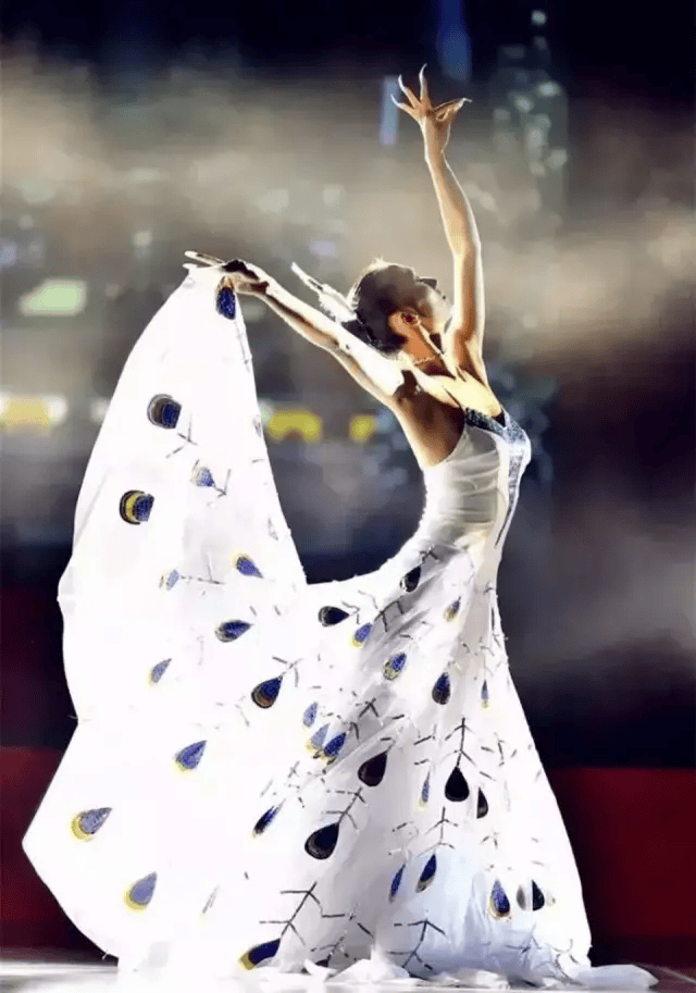 因为这支《雀之灵》杨丽萍正式开启了自己的舞蹈生涯.