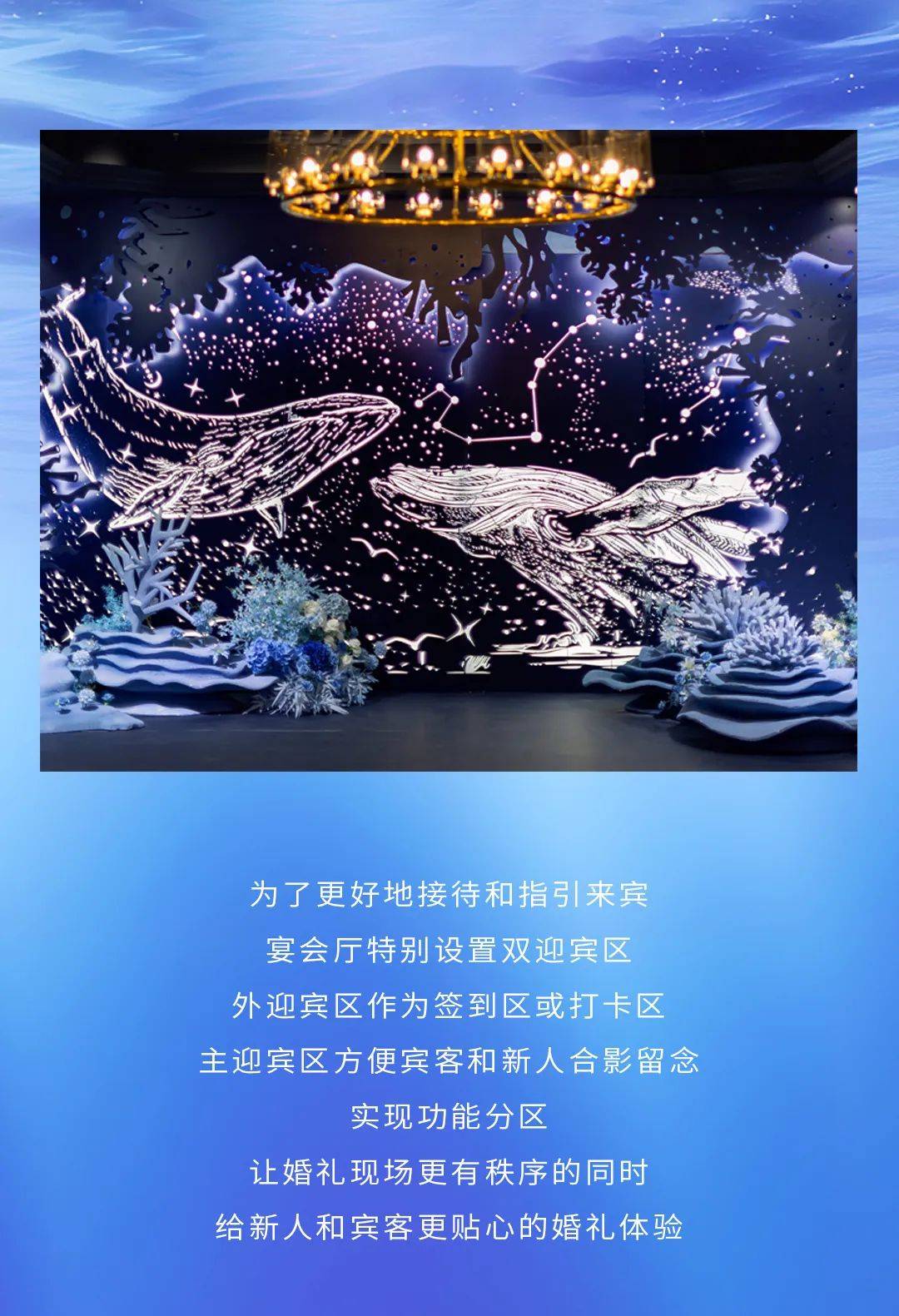 2024全新海洋主题厅分享