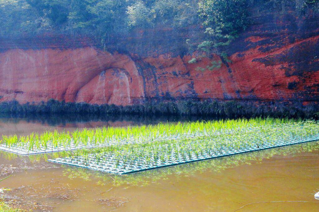 贡井区五宝镇加快推进偏岩洞集中式饮用水水源地规范化建设项目