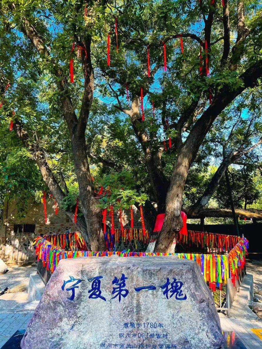 61 地点:滚钟口风景区大寺沟怪石探秘·顽猴合影领福祉12景区提供