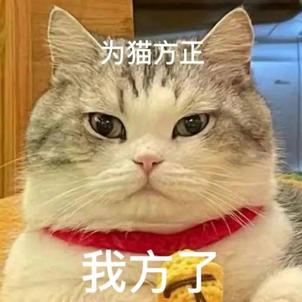 我不吃你这一套丨第981期喵表情包_侵权_网络_图片