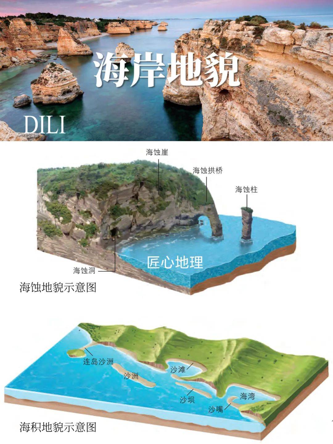 推断向海湿地地形图片