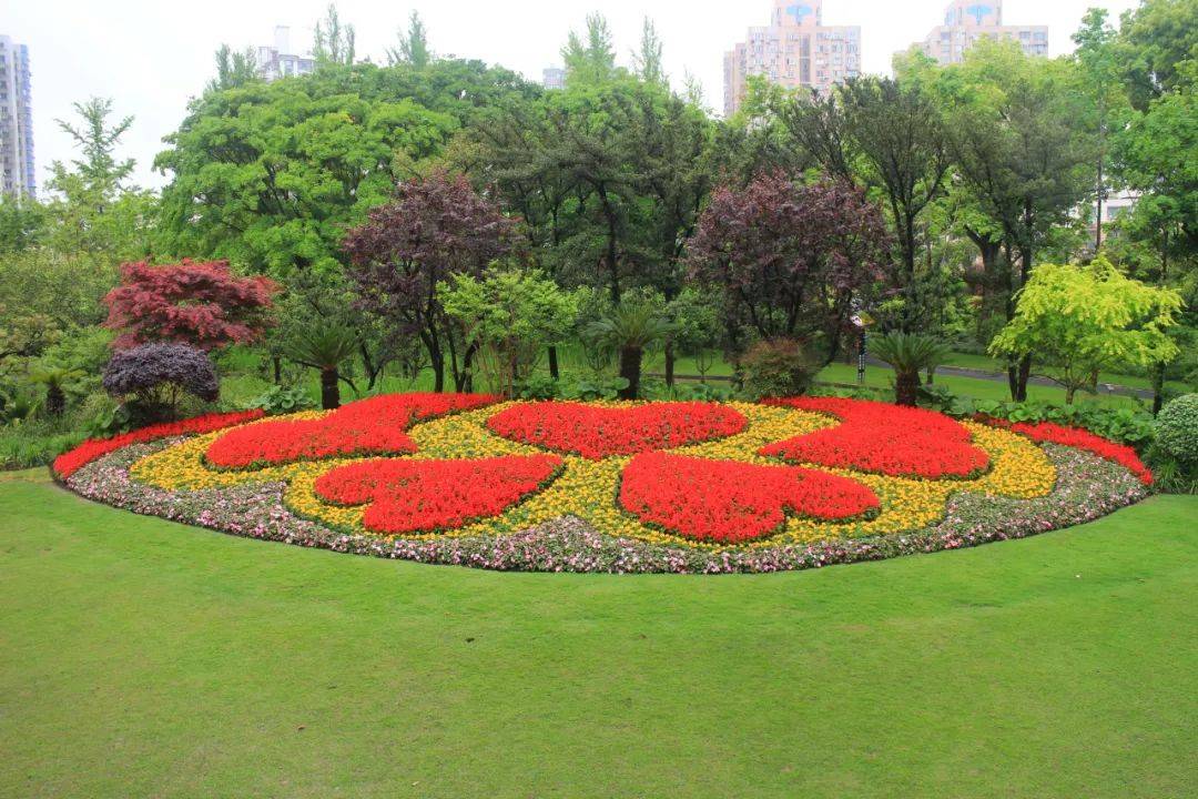 五一节路边摆花图片图片