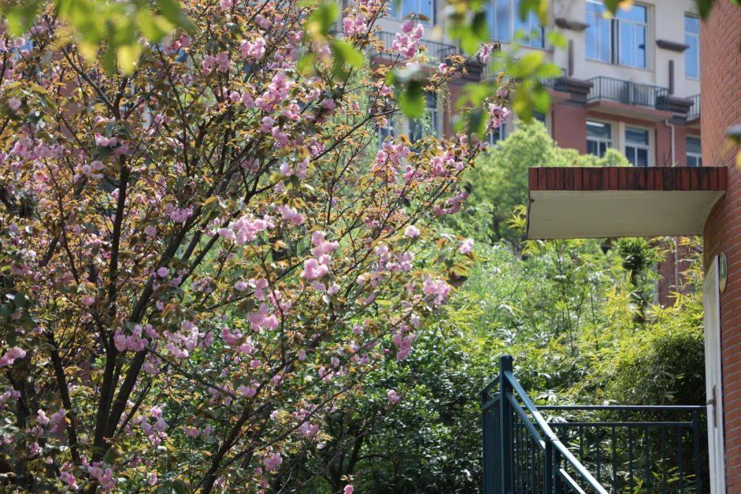 望城校园“校花”大赏！你PICK哪一个？-长沙励烽教育集团望城新校区地址