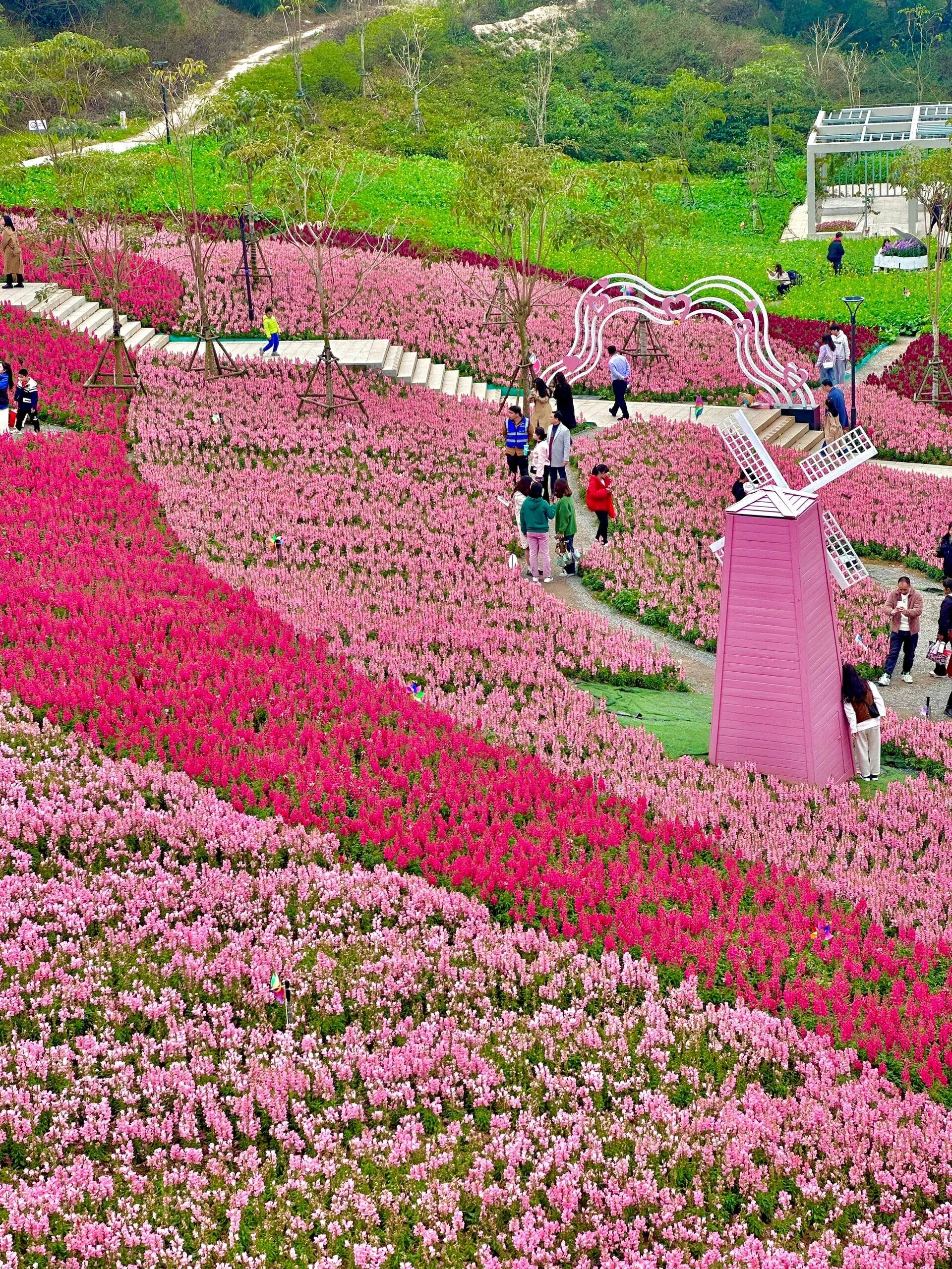 附近花海旅游景点图片