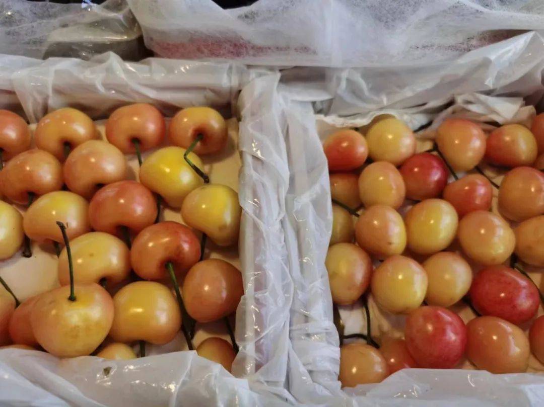 众多应季水果登陆长宁美天菜市场！