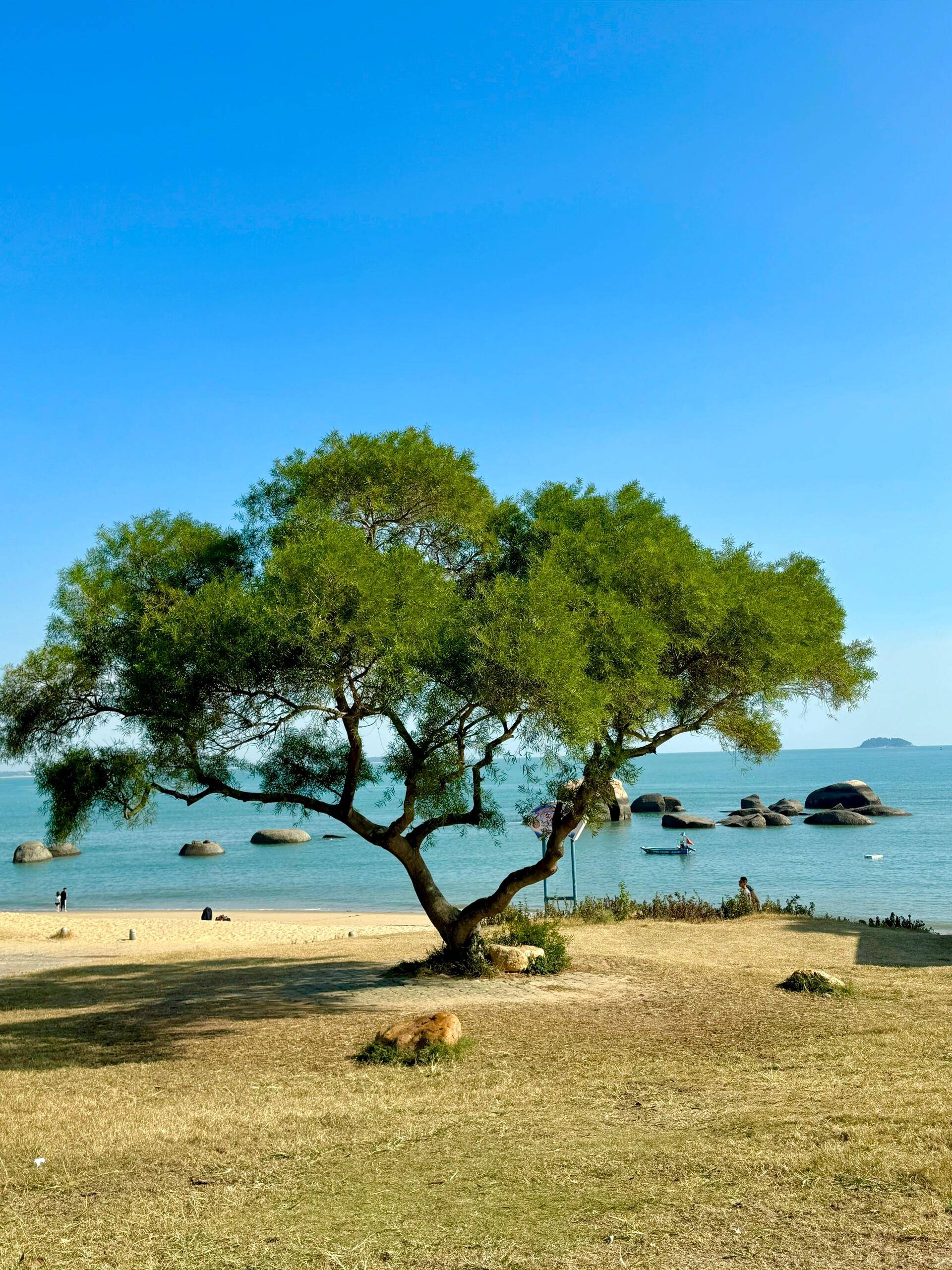 福建厦门夏天海边旅游推荐 ,行程费用分享,详细分享!