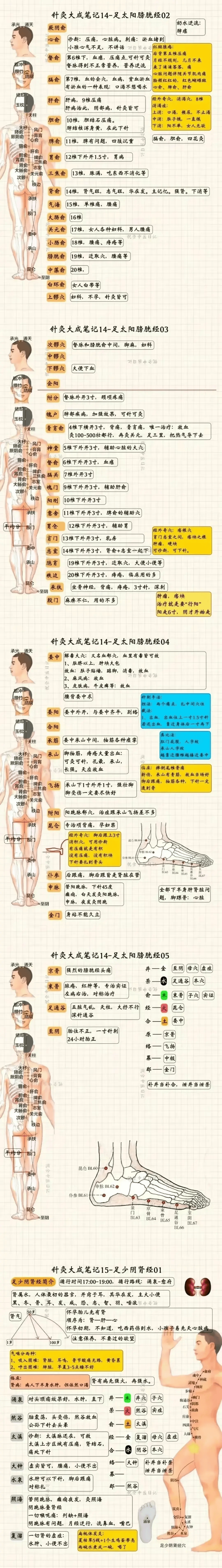 脾经作用图片