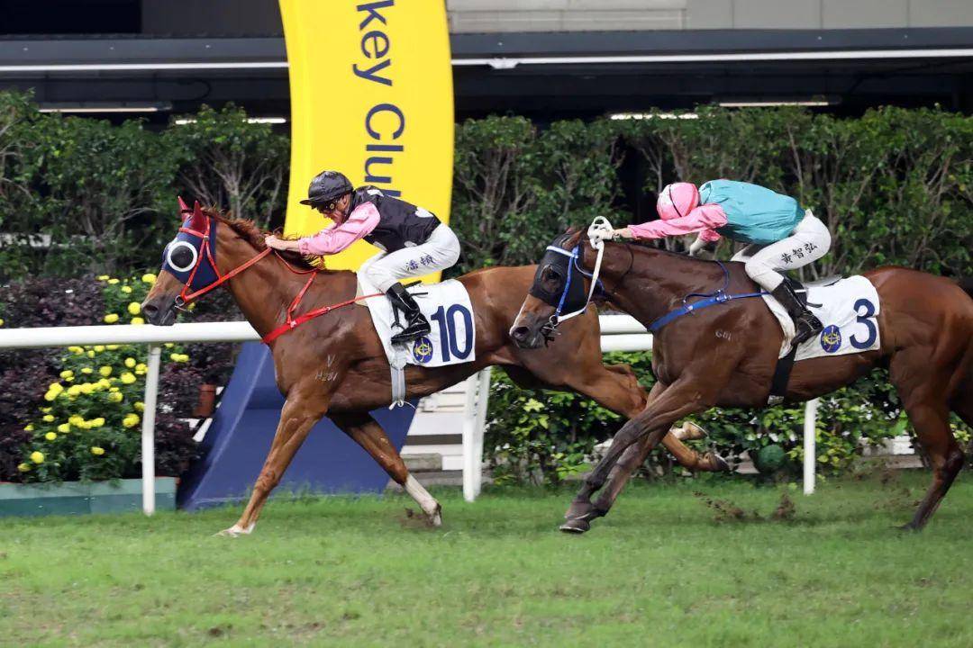 双喜临门!香港豪门郭浩泉,江钰琪伉俪添丁,爱驹夺魁