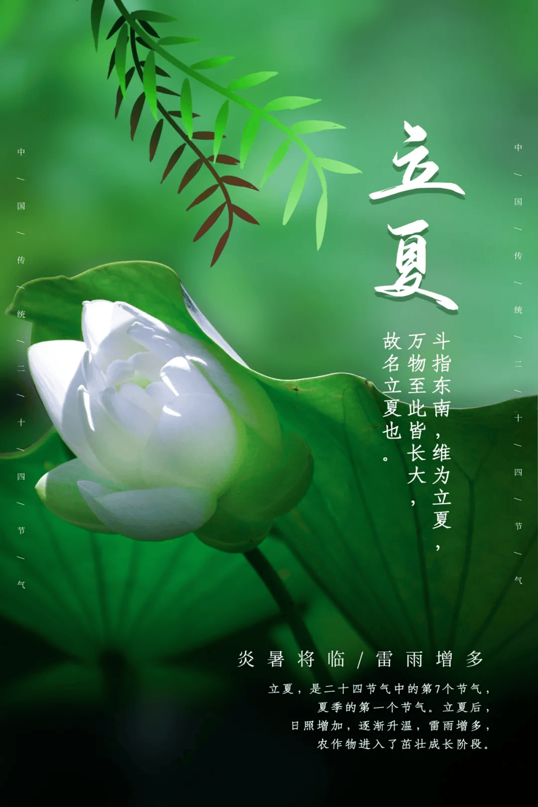 5月5日立夏早安正能量最棒入心语录句子 立夏发朋友圈漂亮的图片说说