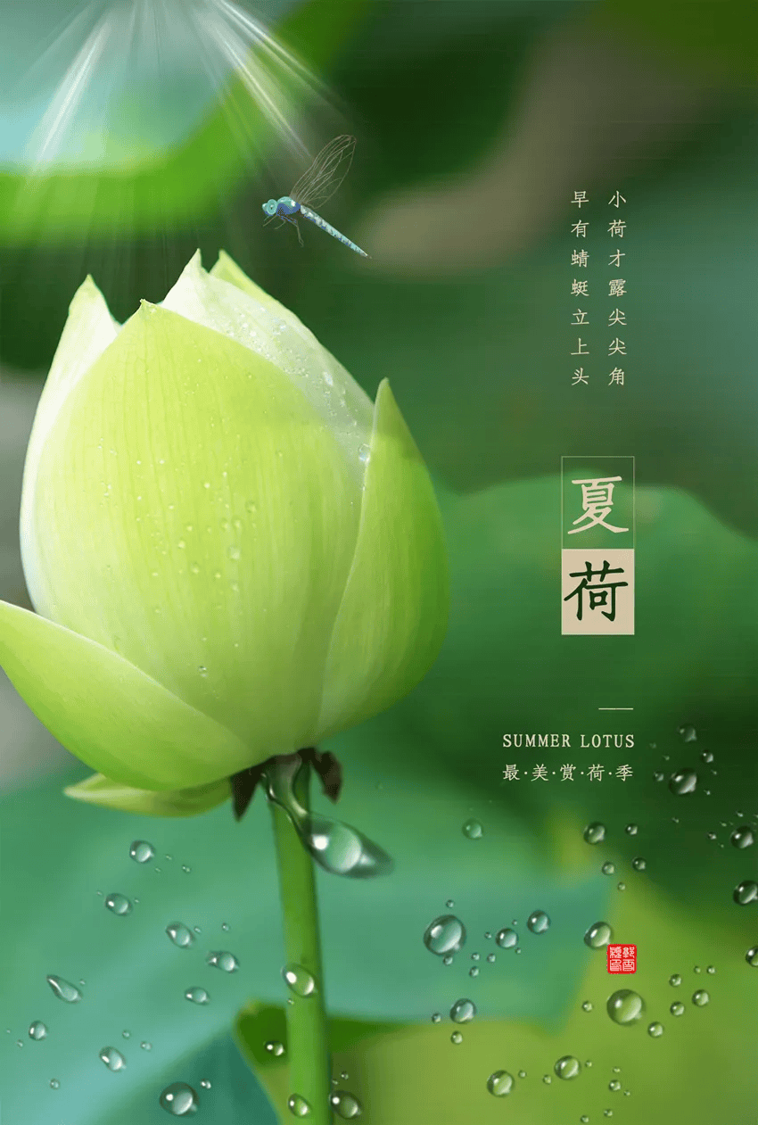 5月5日立夏早安正能量最棒入心语录句子 立夏发朋友圈漂亮的图片说说