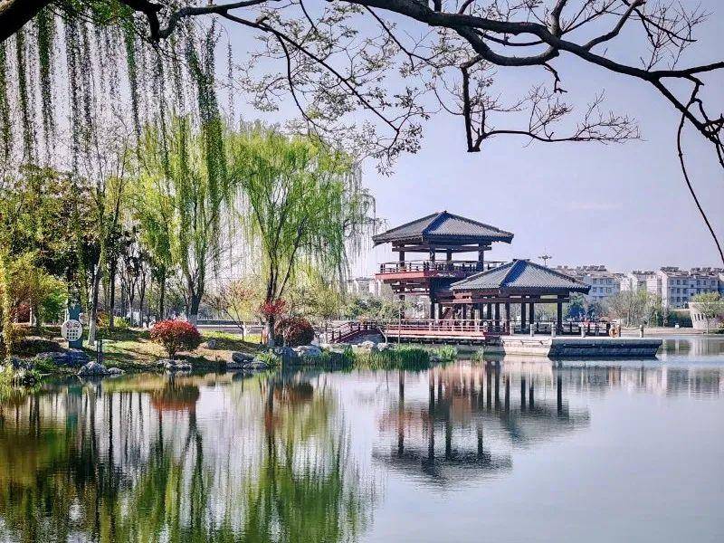 青青子衿地点:桃花岛公园银杏拍客:梦江南地点:悦侬生态园银杏拍客