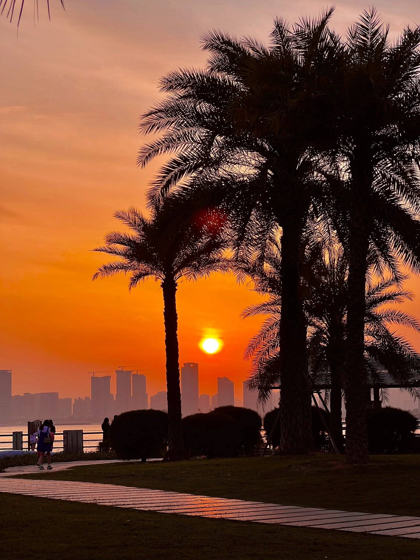 带四岁儿子去厦门旅游 ,省钱必看!有问必答!