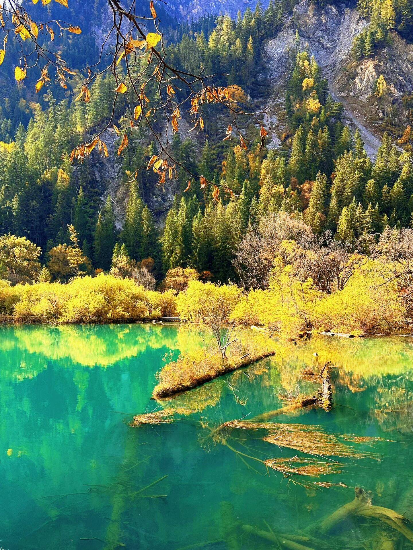 历史悠久,风景如画的旅游胜地,吸引了来自成都的一家四口——父亲李明