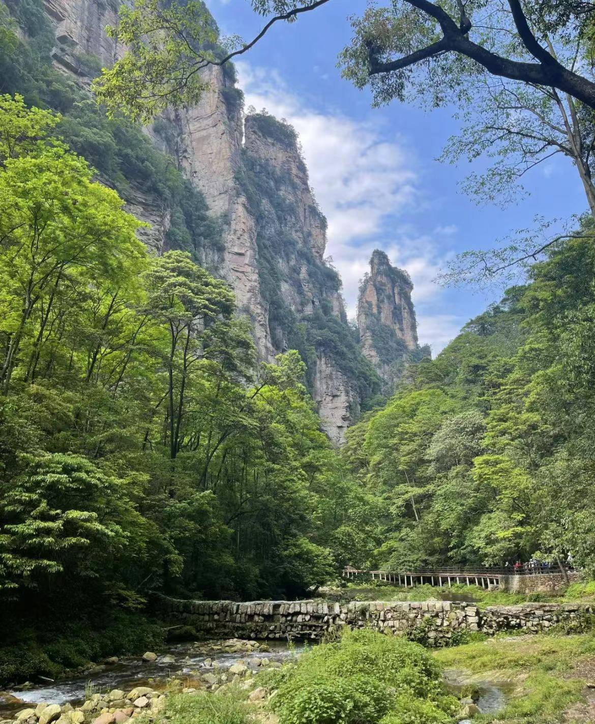 张家界天门山旅游区十七号 ,千元旅游攻略,绝对值!