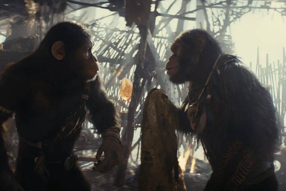 人类与猿族的命运交织之战!