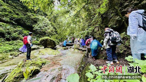 神农架"上新"花式玩法 "流量"变"留量"