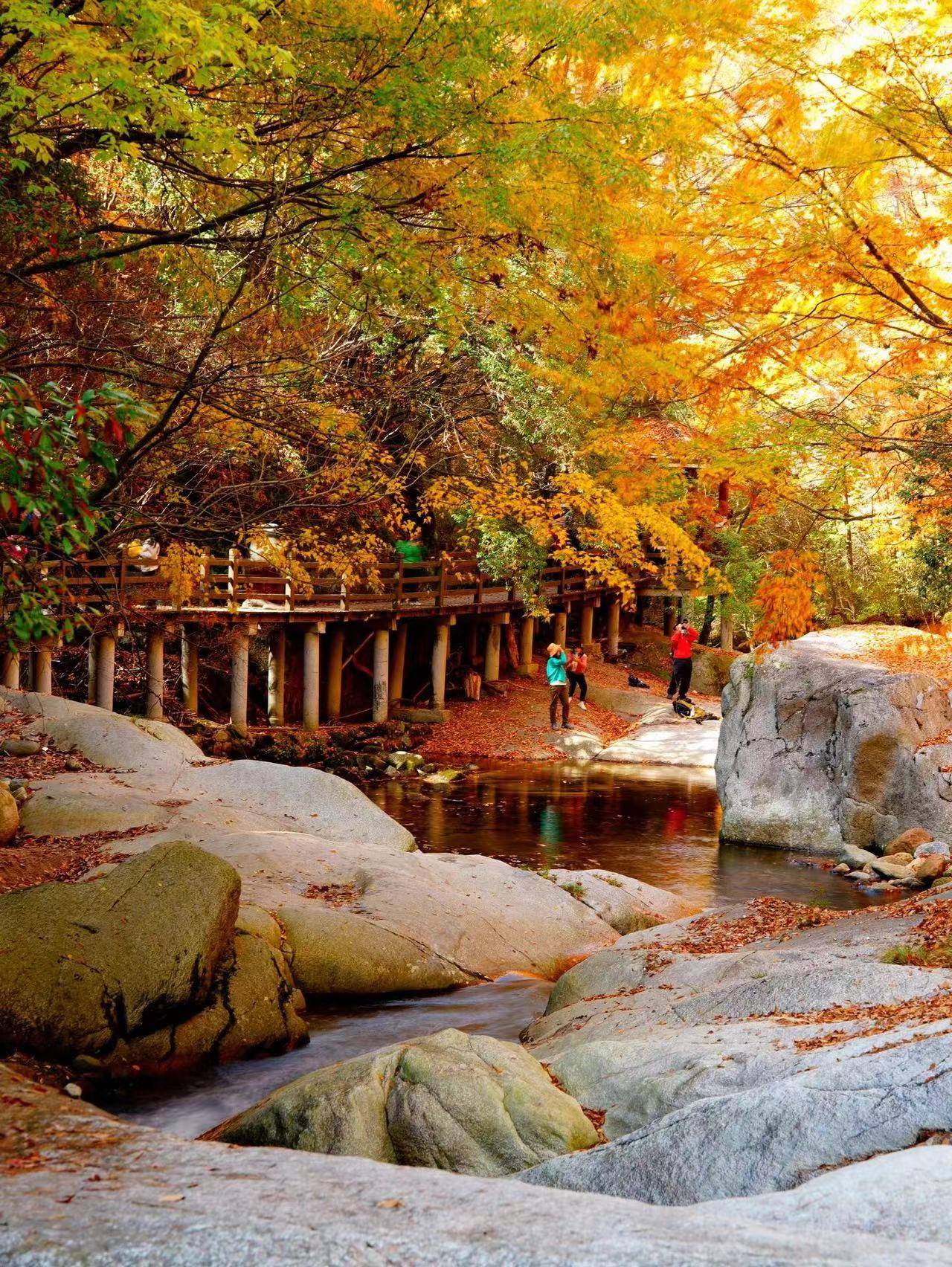 在我准备前往四川旅游时,我对这片神奇的土地充满