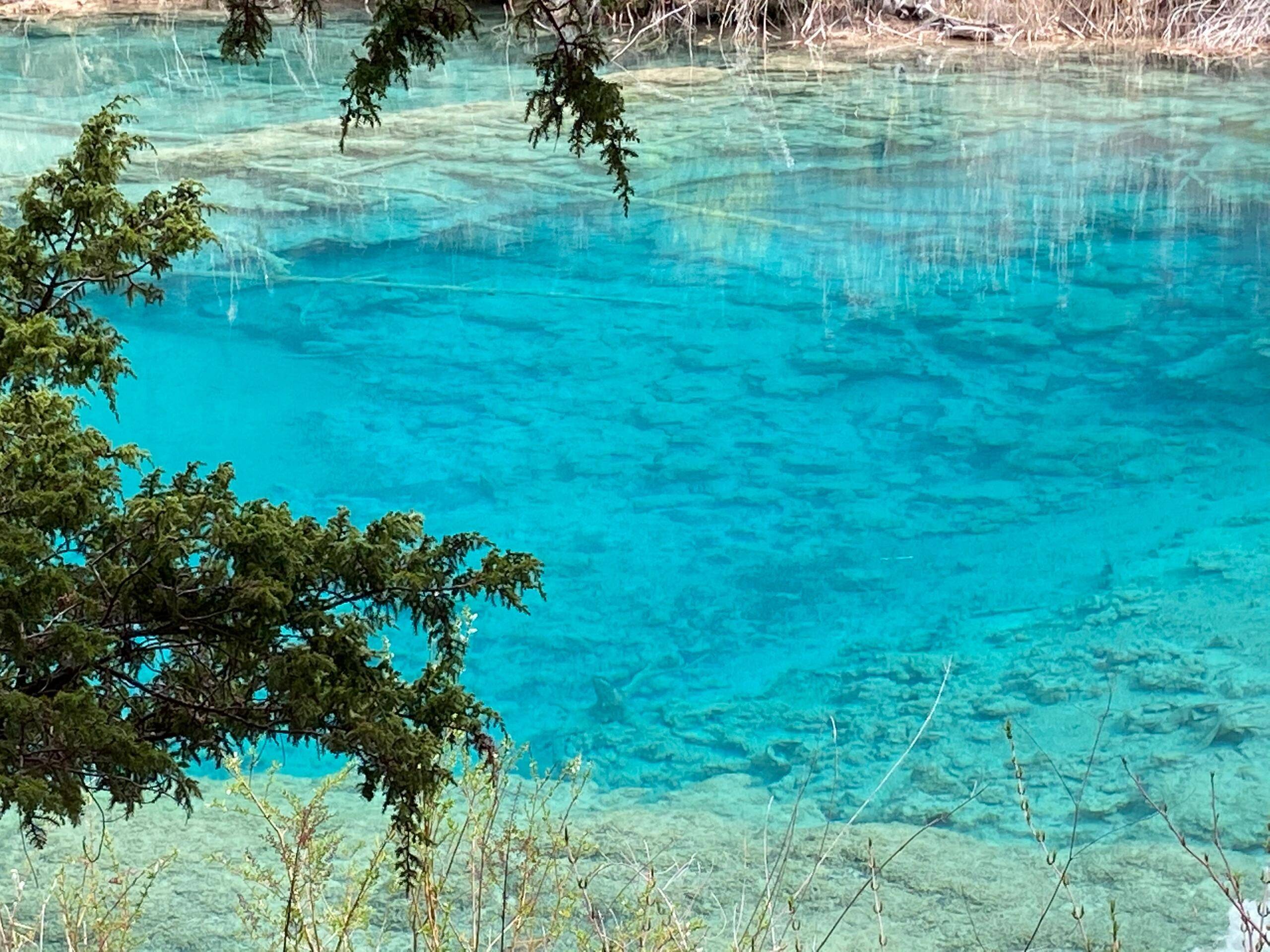 四川山水旅游景点 ,超实用纯干货攻略分享_大熊猫_九寨沟_道教