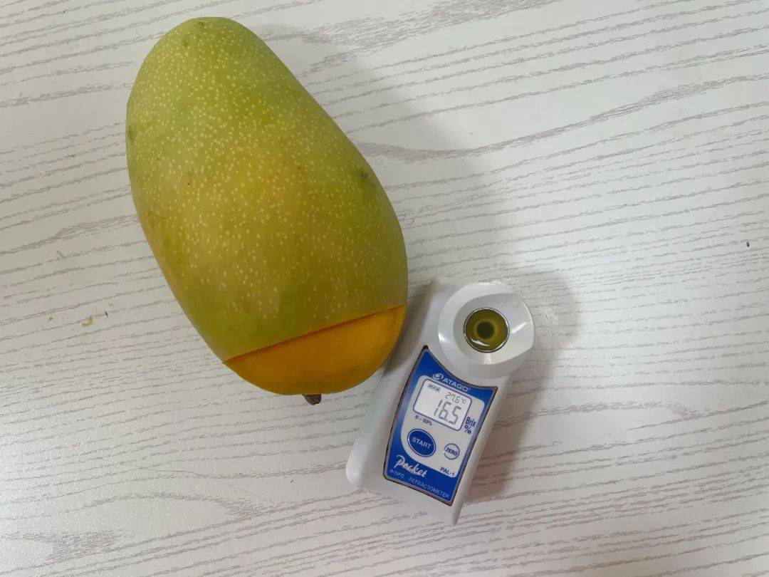 我看是谁流下了口水._芒果_金煌芒_果肉