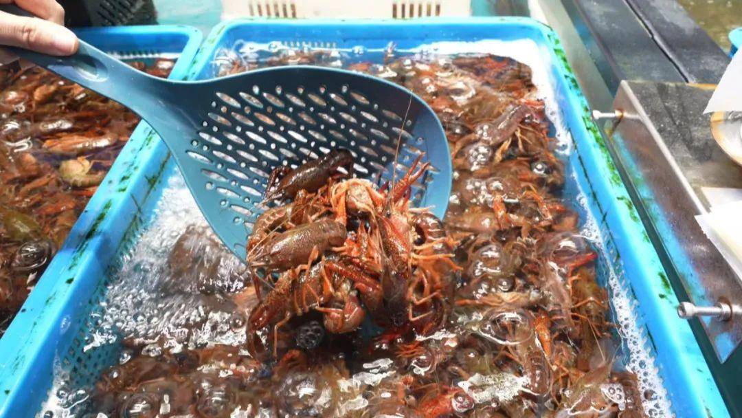 小龙虾又上热搜了!