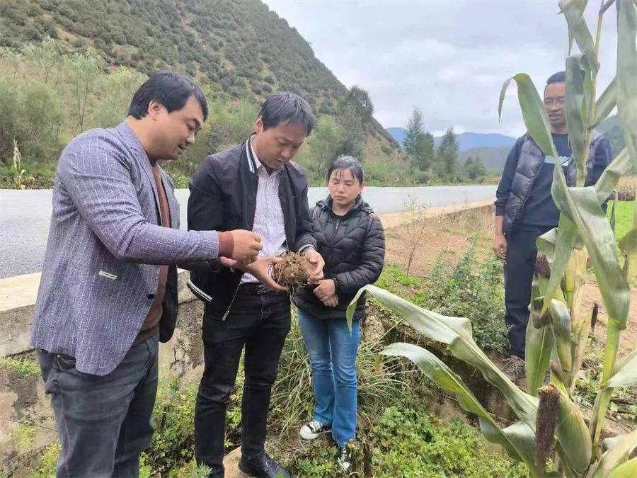 丽江市农业农村局派驻宁蒗县红桥镇黄腊老村第一书记张建祥:我认为