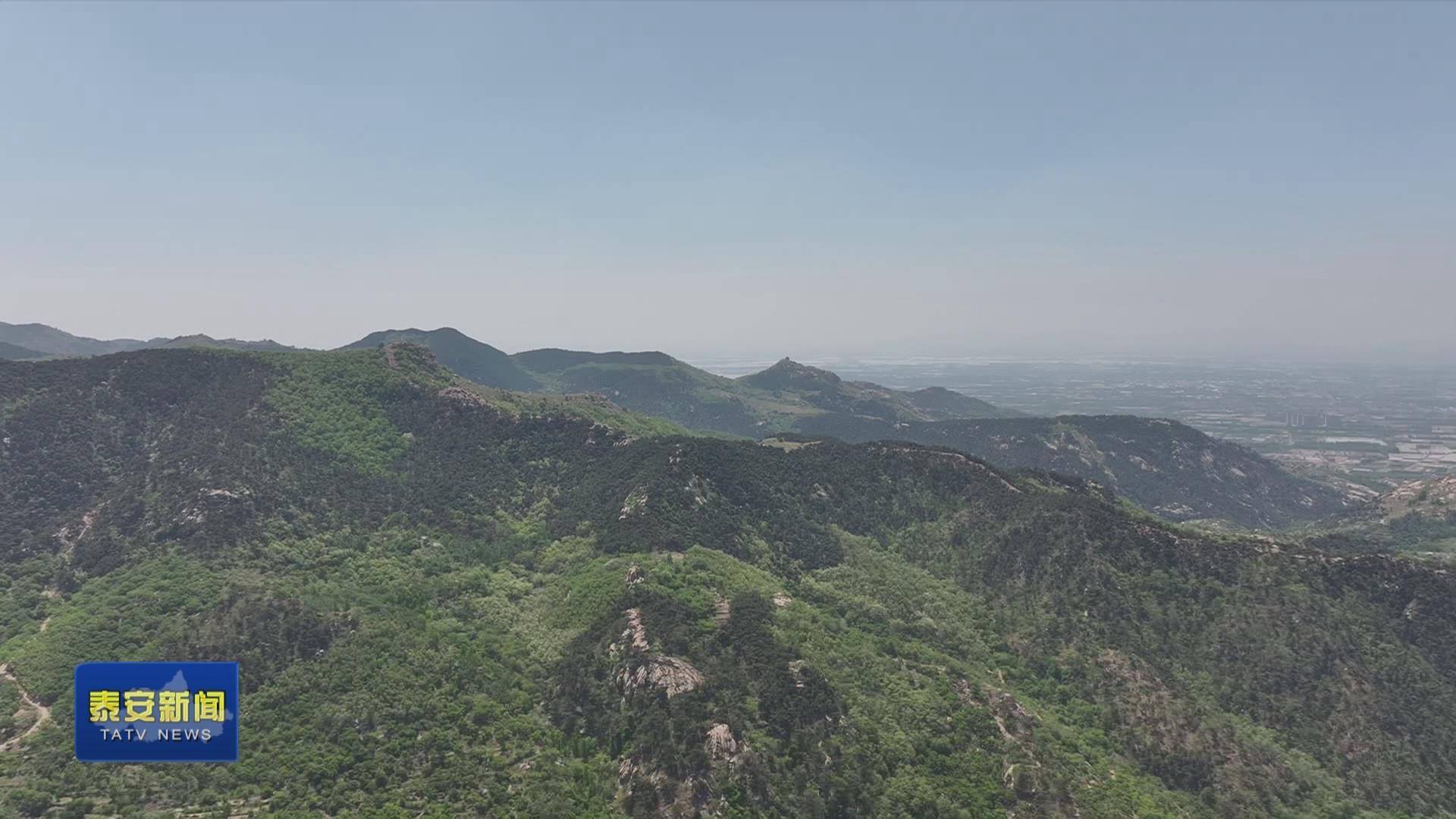 徂徕山养蜂人的"甜蜜"事业