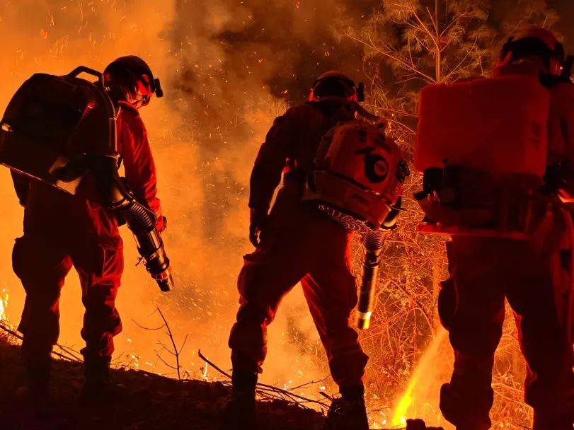 喜报|阿布李吉才荣获"上海市青年五四奖章个人"称号