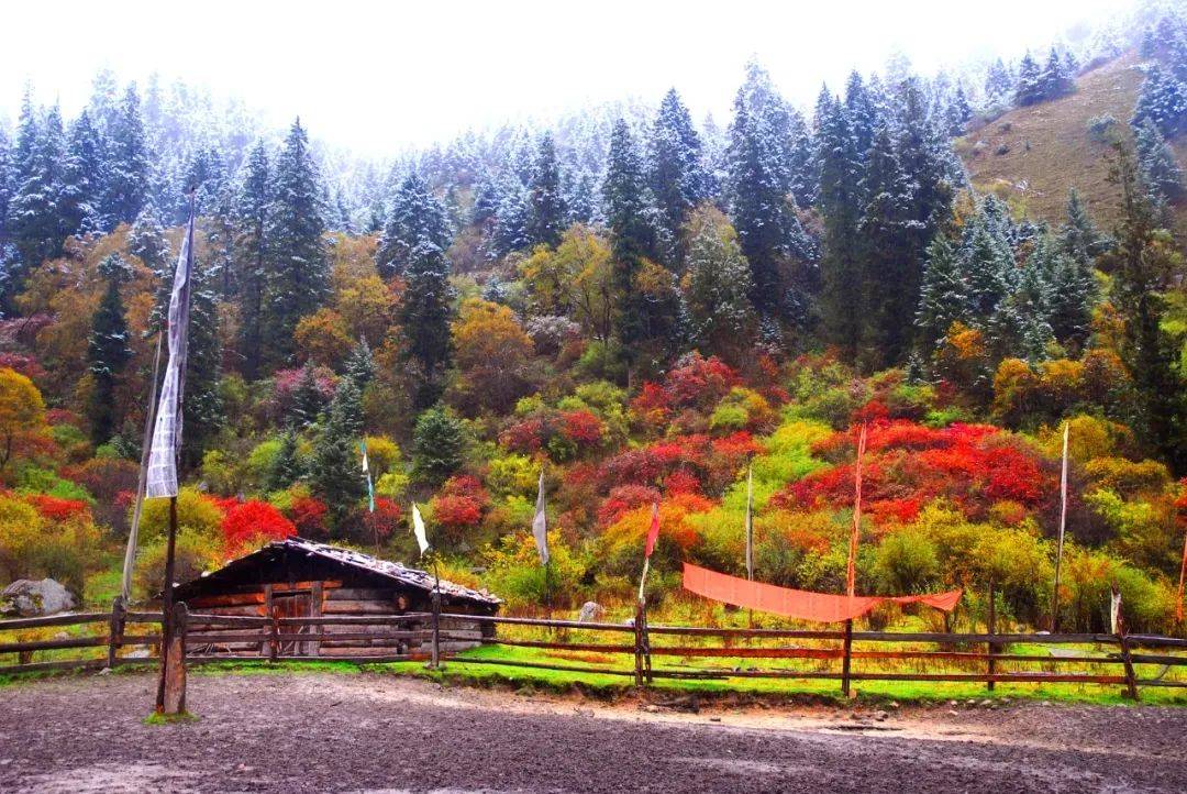 正在公示!黑水县卡龙沟景区拟上榜国家4a级旅游景区