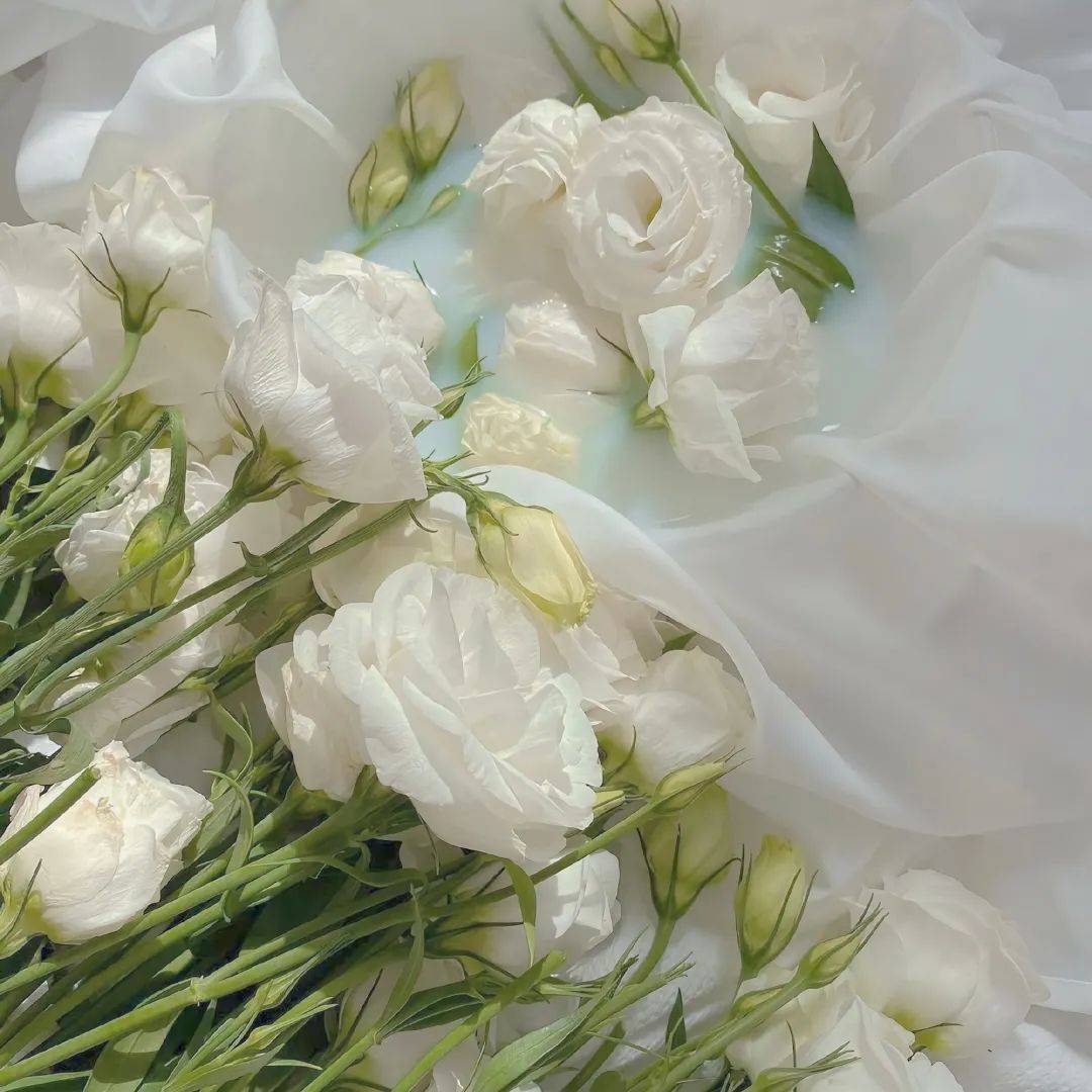 背景图|心心念念的朋友圈背景图