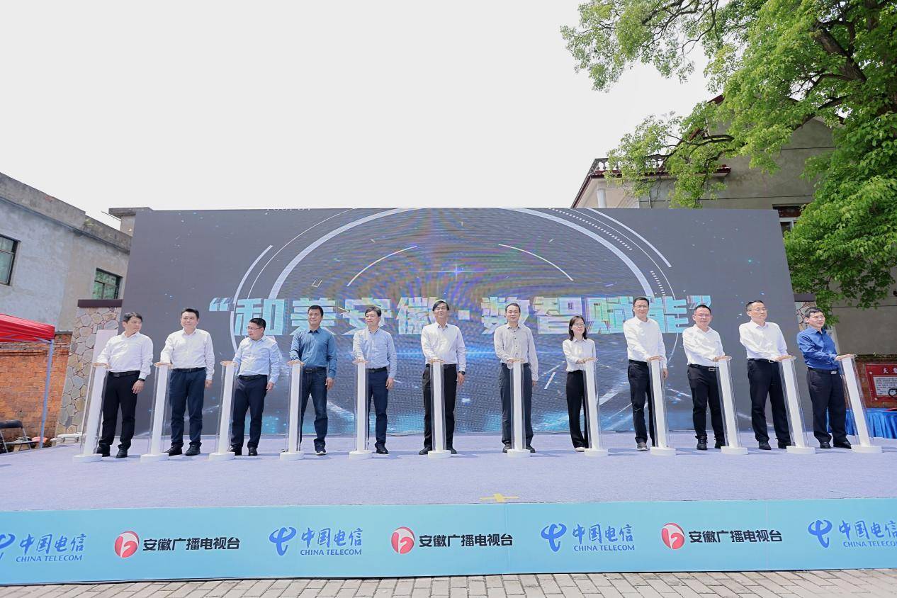 "数字赋能 乡村振兴"推介行动沿江片区推介会成功举办_建设_活动_铜陵