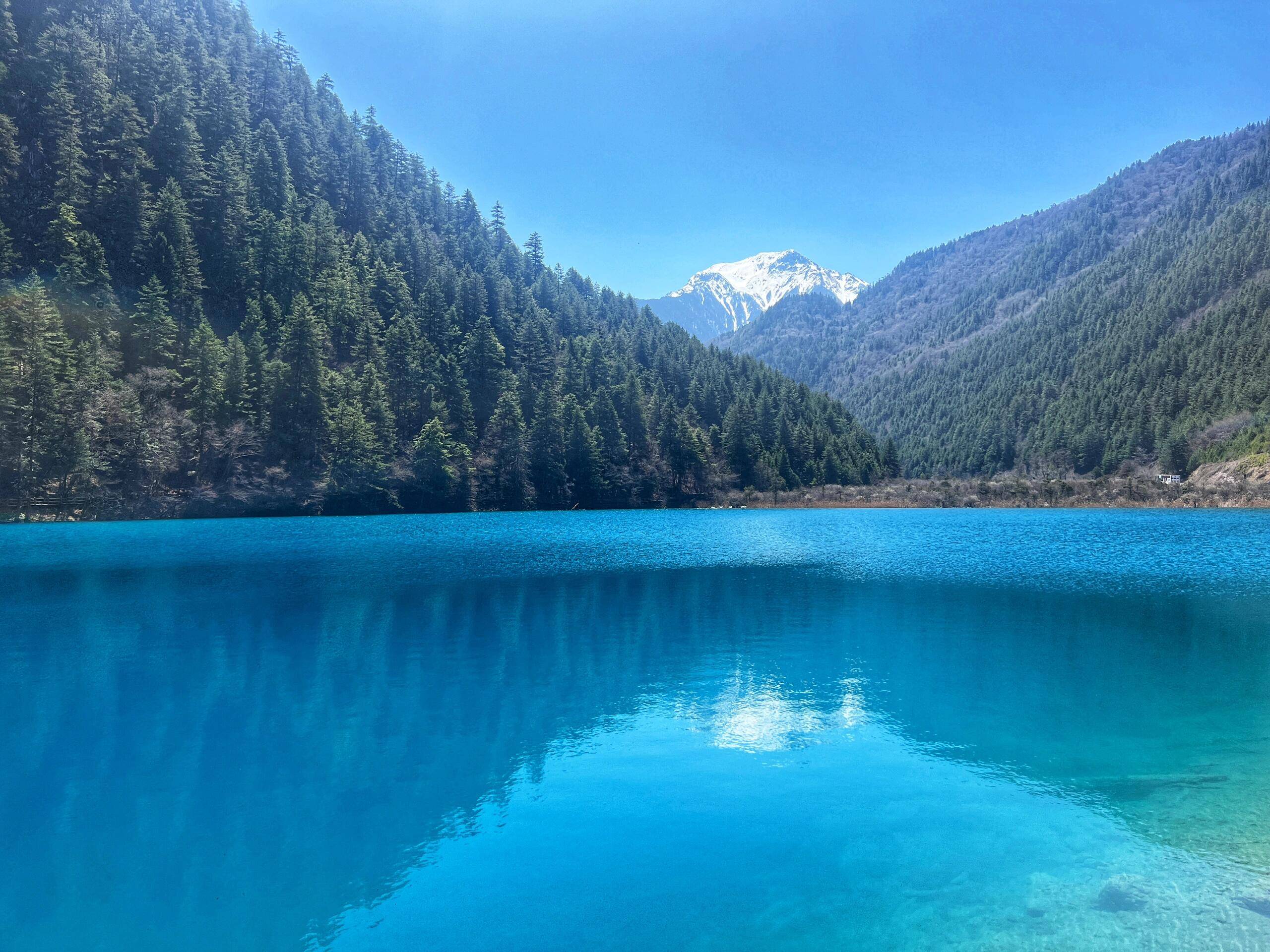 四川九寨沟旅游自驾游三天 ,旅游攻略-费用 行程 游玩建议