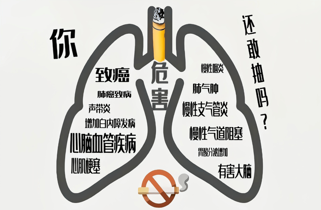 【公益广告】公共场所文明行为规范之公共场所禁止吸烟