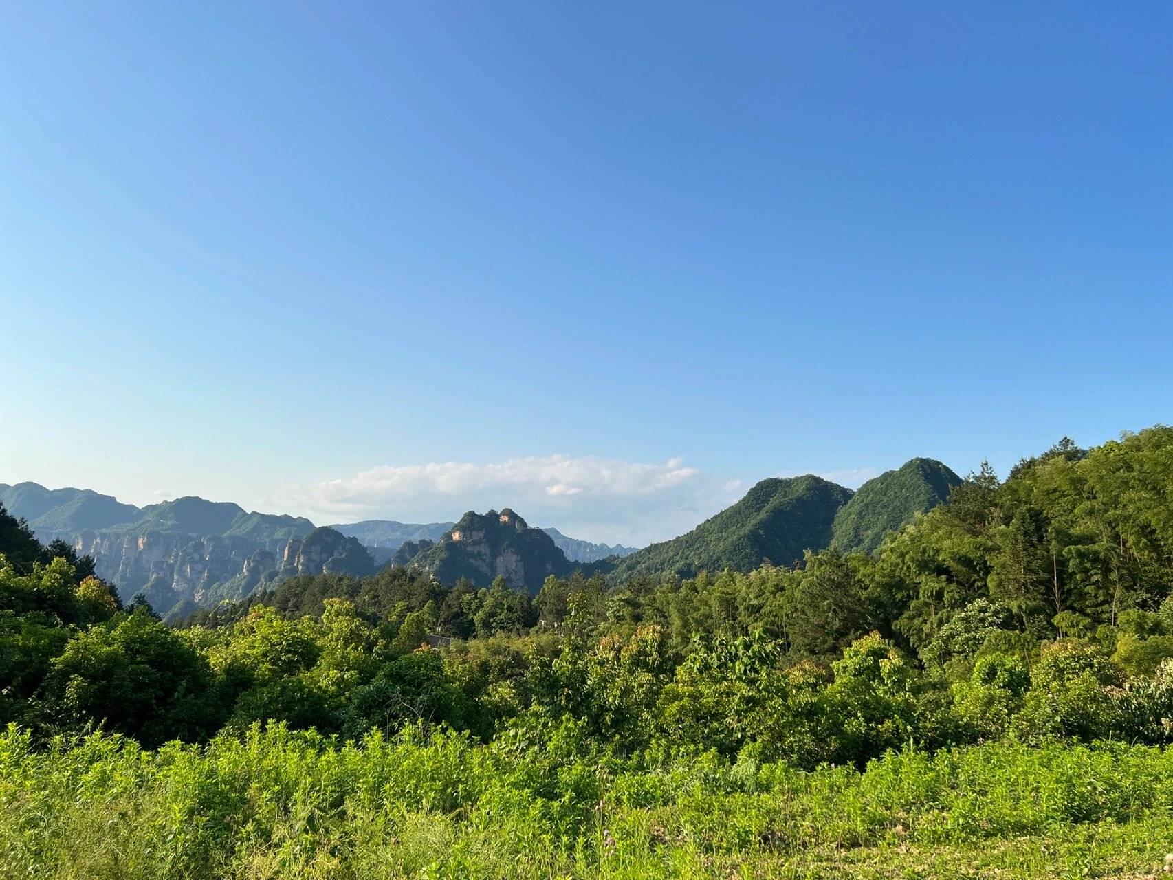 湖南张家界五天四晚坑吗 ,这篇实用攻略一定要码住_自然_旅程_心灵