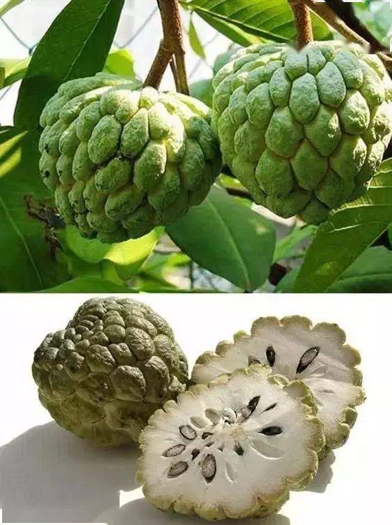 这是一个需要奇葩的时代,水果也一样