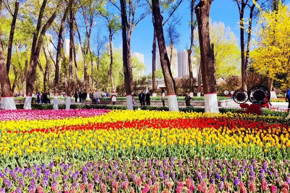 花草中遇见浪漫 山水间邂逅西宁_公园_高原_游人
