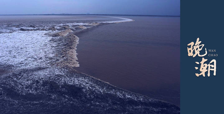 晚潮|当月季花pk玫瑰花时