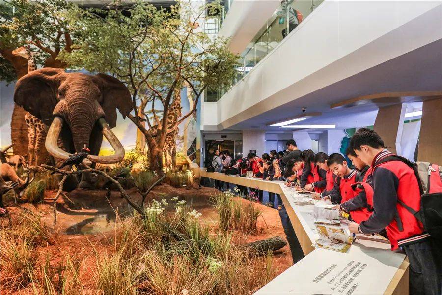 图/长江文明馆图/武汉自然博物馆「贝林大河生命馆」的3000余件野生