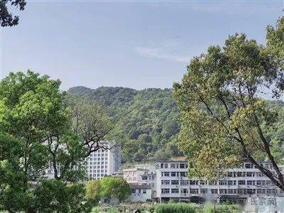 浙江境内又发现宋太祖一支后裔