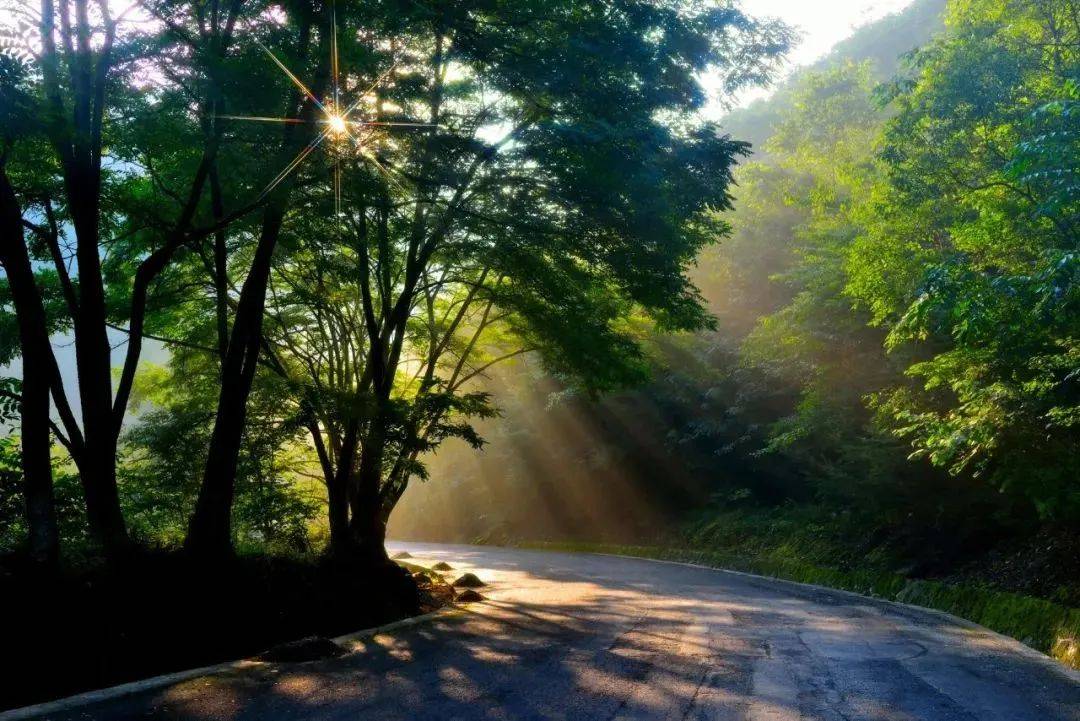 暮春初夏,是时候来镇坪寻一抹绿了!_绿意_大自然_momo