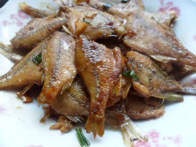 这鱼很多地方见过,只贪吃长不大,小时候叫"菜板鱼"