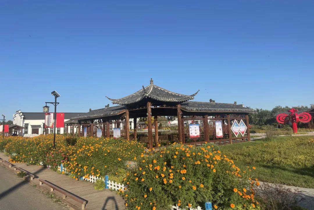 扶余市:庭院"方寸地" 开出增收"致富花"_种植_发展_万寿菊