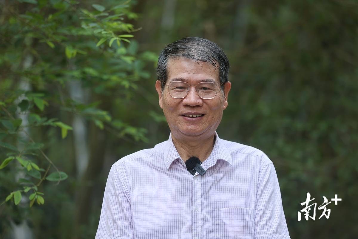 张应龙： 引进侨力量，擦亮“生态绿”_发展_乡村_南桥村