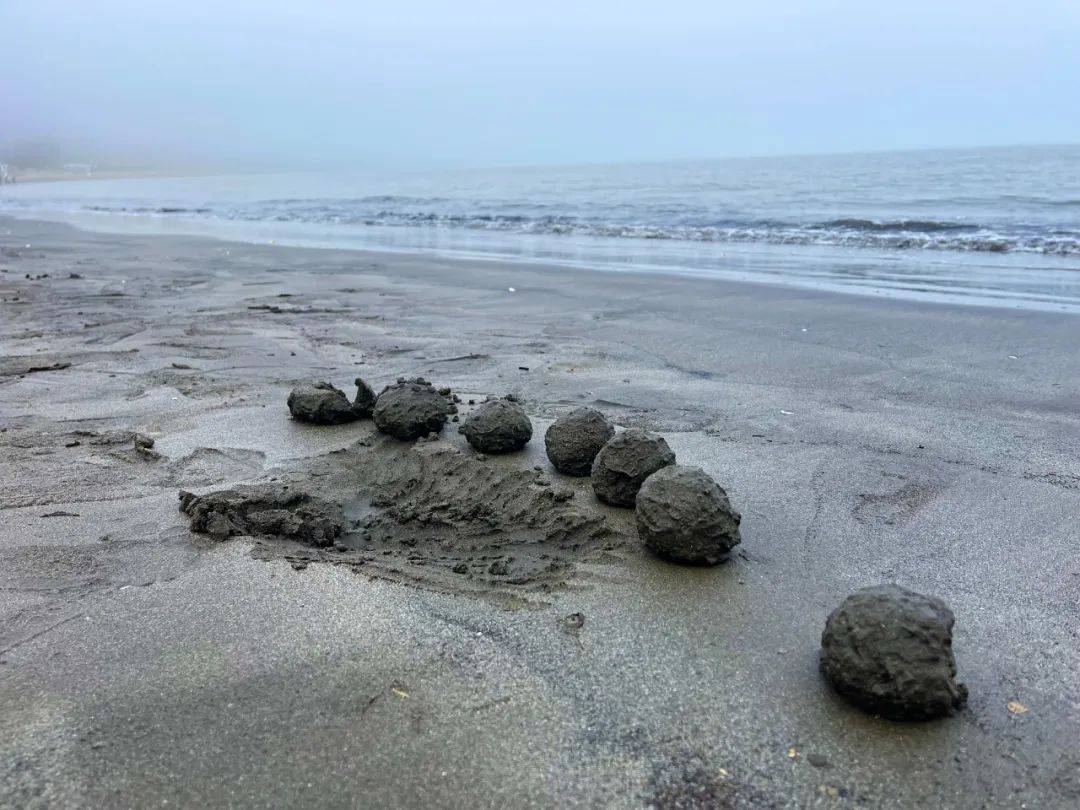 出去玩 | 澳门有条不错的海岸徒步线【563集】_沙滩_中央_海浪