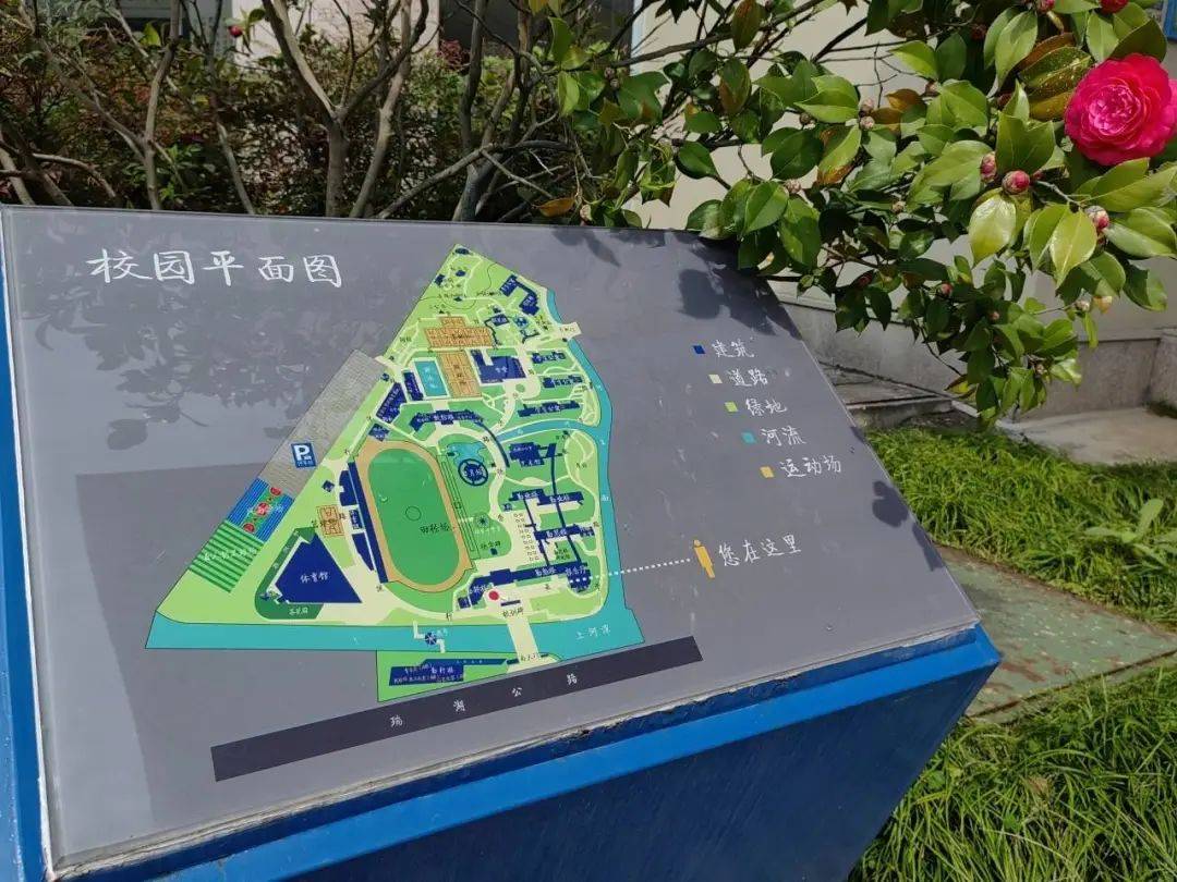 在蓝黄的色谱里识别瑞中