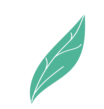 5月11日广德市桐汭街道夏季"村晚"精彩来袭!