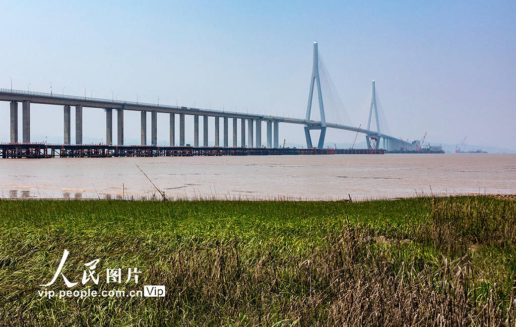 浙江宁波:象山港跨海大桥建设忙
