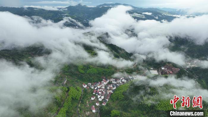 浙江磐安首次发现台湾独蒜兰自然群落