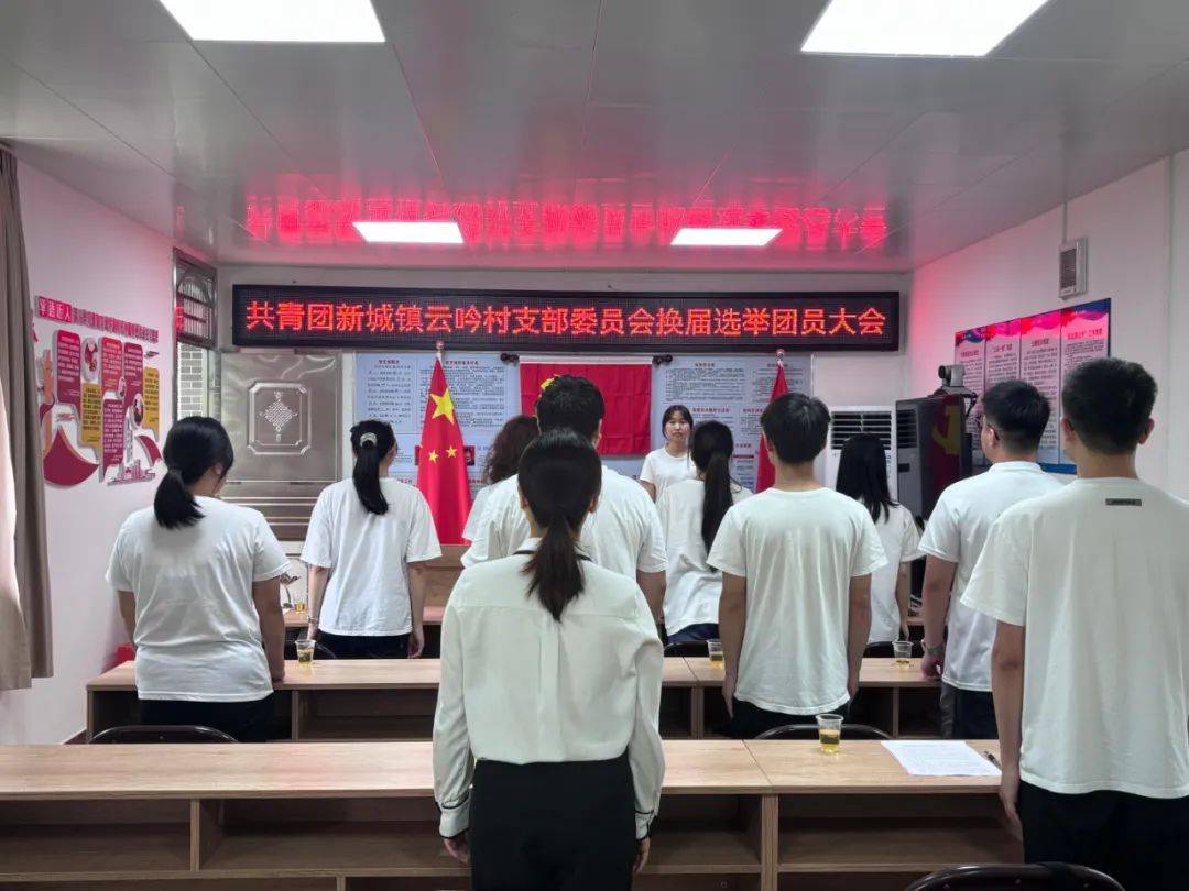 新城镇云吟村团支部圆满完成换届选举工作!